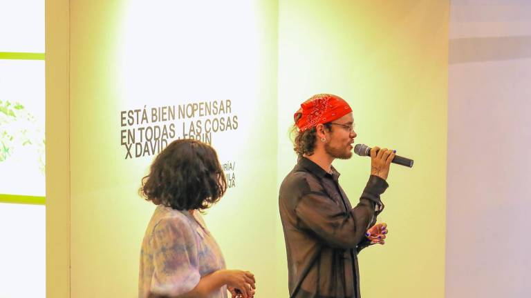 Museo Nahim Isaías de Guayaquil presenta exposición de la nueva muestra de David Jarrín Está bien no pensar en todas las cosas.