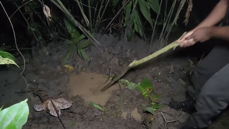 Sucumbíos: hallan los cadáveres de dos empleados de Petroecuador en una fosa