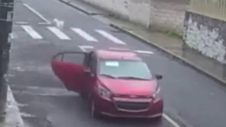 Video capta a perro corriendo desesperadamente detrás de un vehículo, tras ser abandonado en Quito