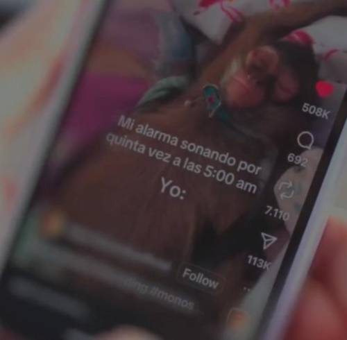 Fotografía referencial de una publicación que muestra a un mono retenido en una vivienda como mascota.