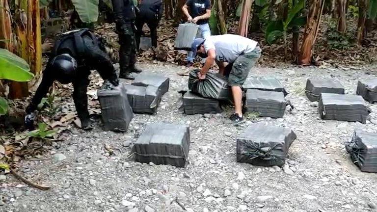 Ecuador descubre 1,2 toneladas de cocaína escondidas entre la vegetación en Milagro