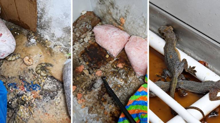 Arcsa clausura chifa por presencia de plagas y severa contaminación de alimentos en Durán