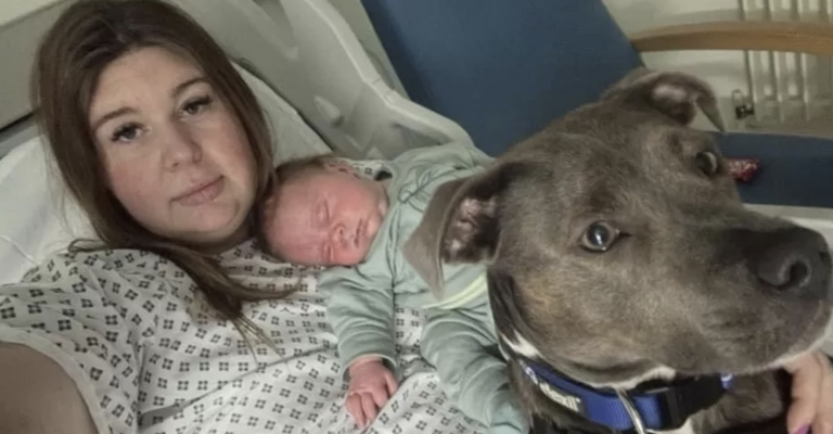 Perro de apoyo emocional estuvo presente durante el parto de su humana
