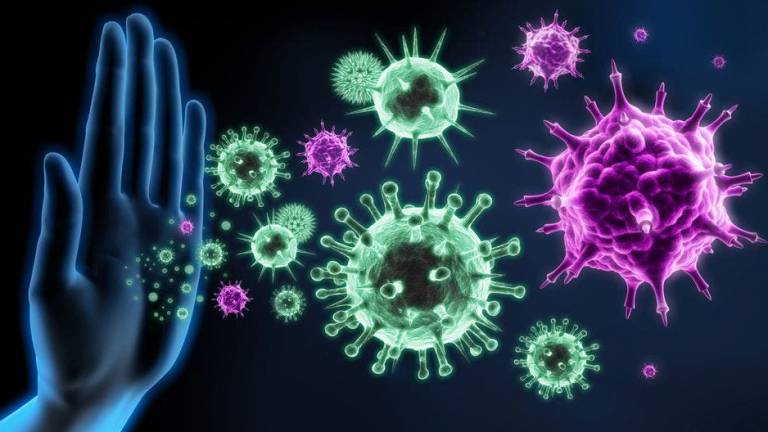 ¿Qué es la inmunidad cruzada y por qué puede ser clave en la lucha contra el covid-19?