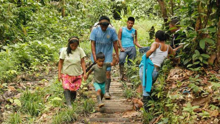 Violencia en frontera colomboecuatoriana desangra al pueblo indígena Awá
