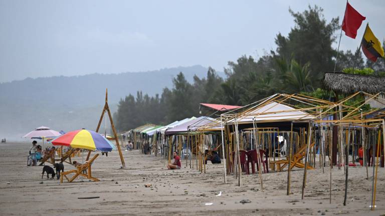Alerta de tsunami en Ecuador: Gobierno dispone una serie de medidas y eleva alerta en Galápagos
