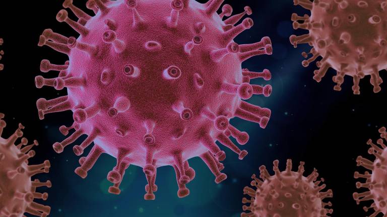 Israel detecta el primer caso de ‘flurona’: combinación de gripe y COVID-19