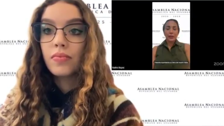 Asambleísta de ADN fingía asistir con una foto en Zoom: Camila León hizo un llamado de atención