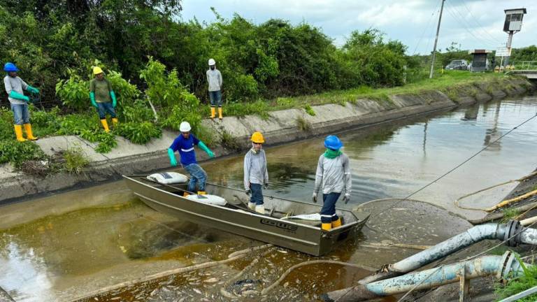 De 1 a 5 años podría tardar la remediación ambiental tras derrame en Chongón