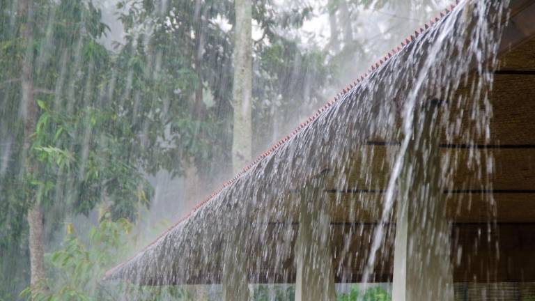 Ecuador bajo pronóstico de lluvias y tormentas: Guayas, entre las zonas de riesgo