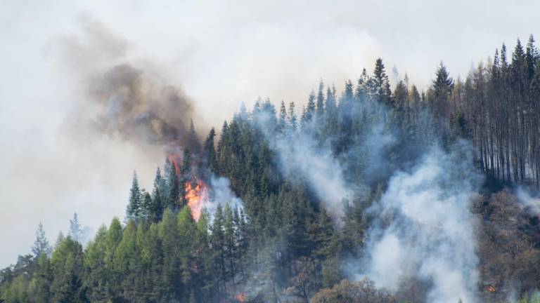 Inamhi advierte sobre mayor riesgo de incendios forestales en Ecuador entre el 28 y el 31 de julio
