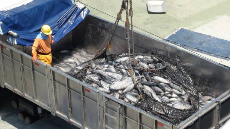 Sector pesquero se opone a canje de deuda por ampliación de la Reserva Marina de Galápagos