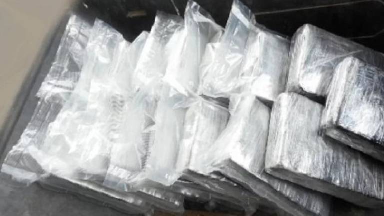 Confiscan 80 kg de cocaina que sería exportada a Holanda