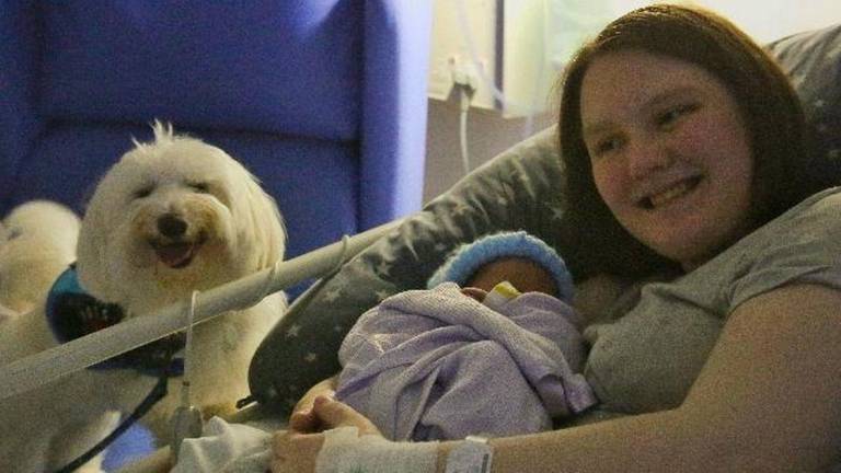 Mujer dio a luz acompañada por su perro de asistenica