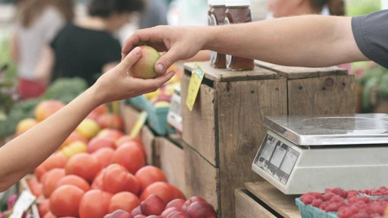 ¿Quienes pueden acceder al nuevo Bono Alimentario? El Gobierno da detalles