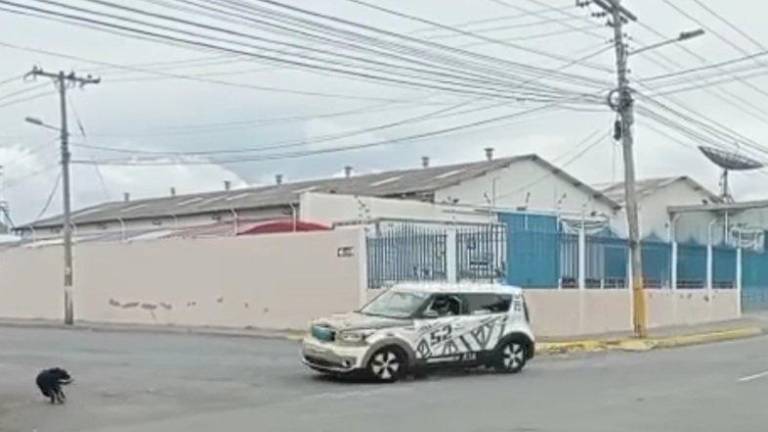 Indignación por atropello a un perrito durante competencia de autos en Riobamba