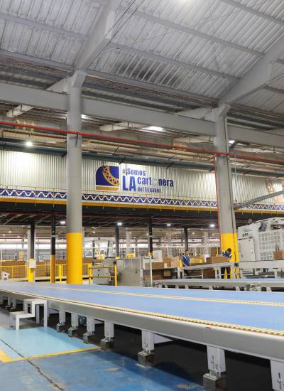 Imagen de parte de la estructura de Incarpalm.