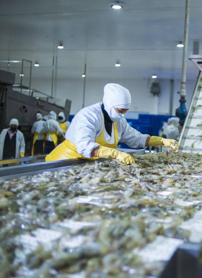 Colaboradores de Nirsa en su proceso de trabajo.