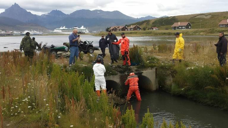 ¿Cómo es el basurero de Ushuaia, donde Argentina rastrea el brote de hantavirus?