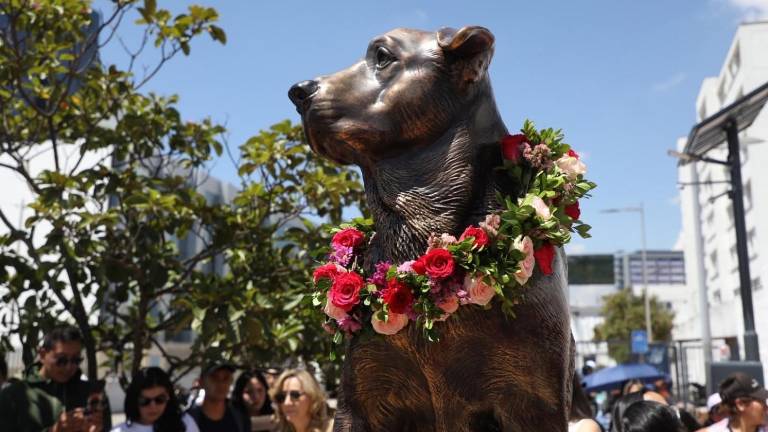 Max, el legendario perro de la Escuela Politécnica Nacional, ya tiene su propia estatua en Quito