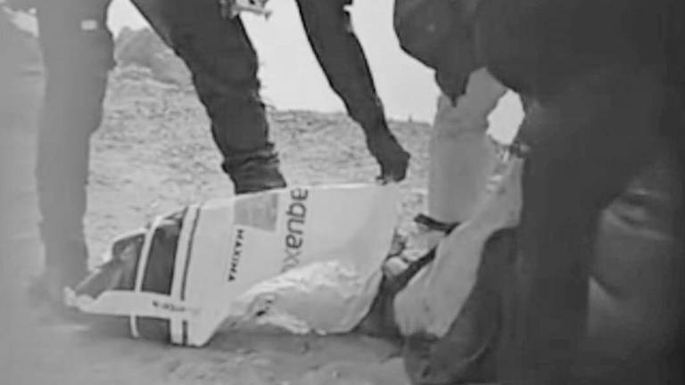 Video genera preocupación por presunta muerte de perros en Isla Puná