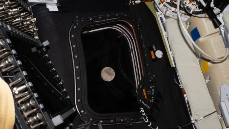 Misión Artemis II: ¿Cómo ver el histórico sobrevuelo lunar desde Ecuador en vivo?