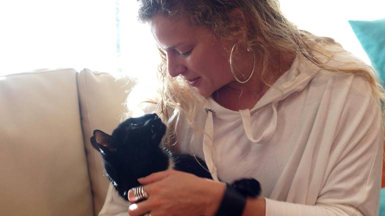 ¿Tu gato podría ser terapeuta? Esto dice la ciencia sobre su vocación oculta