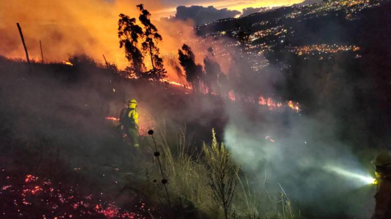 Incendio forestal en Quito: fuego consume la zona de Sorialoma en Guangopolo