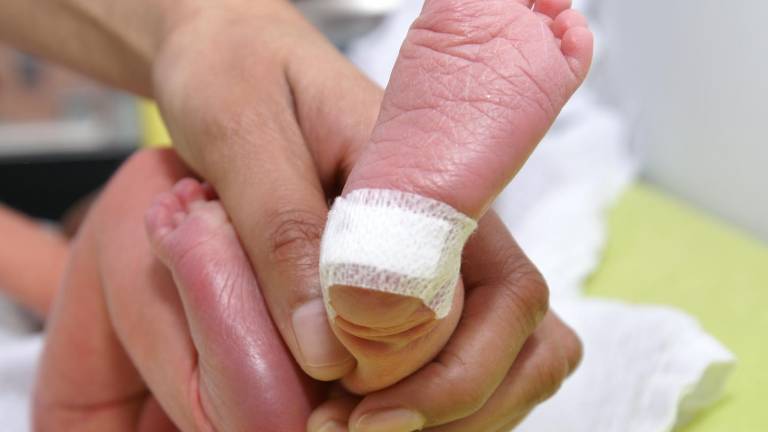 Una pequeña muestra de sangre puede cambiar la vida de un recién nacido: ¿cómo funciona el tamizaje neonatal?