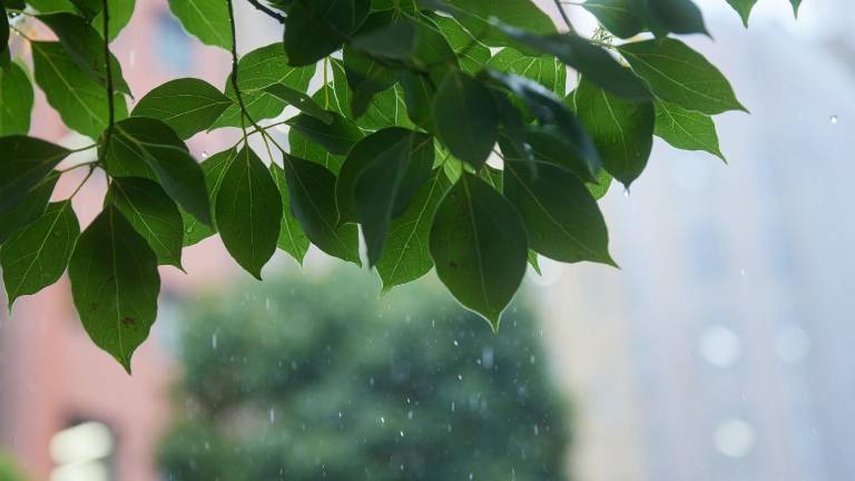 Se esperan lluvias aisladas en distintos sectores del pais.