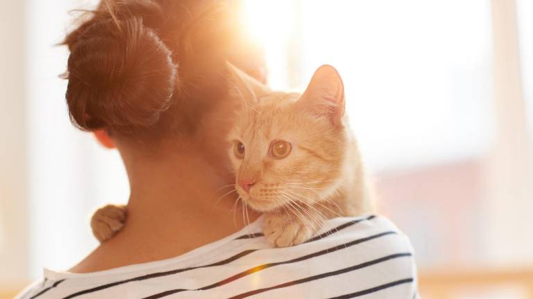Una mujer se reencuentra con su gato 17 años después de perderlo en Francia