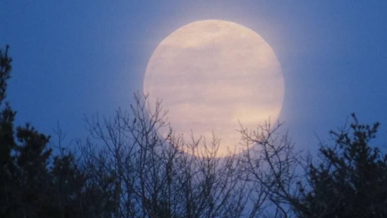 Superluna de octubre 2025: Cuándo y por qué la 'Luna del Cazador' será más grande y brillante