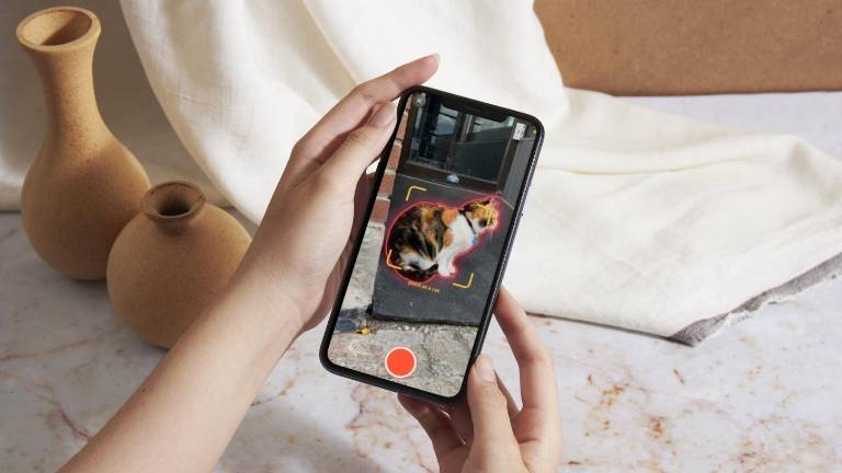 Cat Collector: la app que permite fotografiar y 'coleccionar' gatos reales en un mapa interactivo