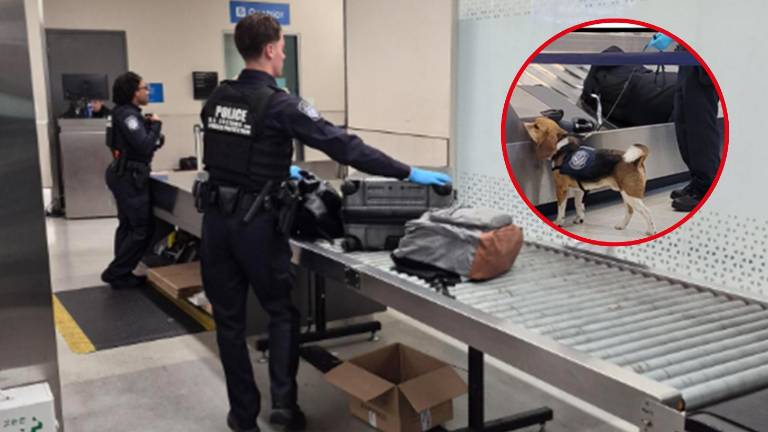 Ecuatoriano es multado en aeropuerto de Florida por intentar ingresar salchicha en su equipaje