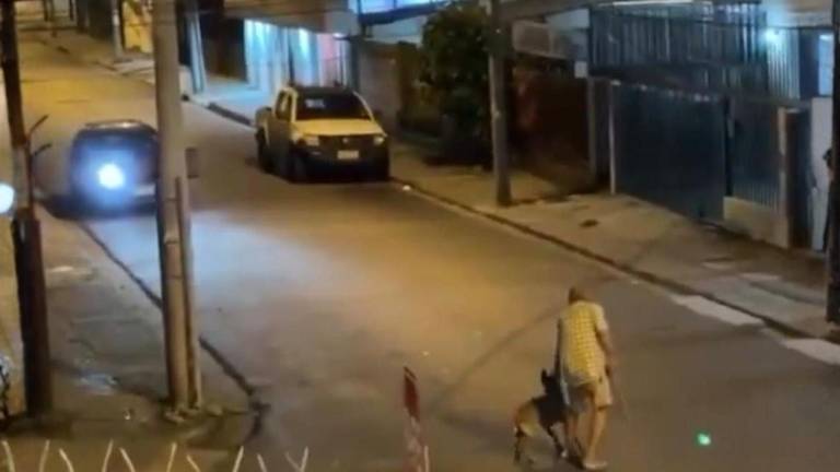 Capturan en el norte de Guayaquil a conductor investigado por arrollar a un anciano y su perro