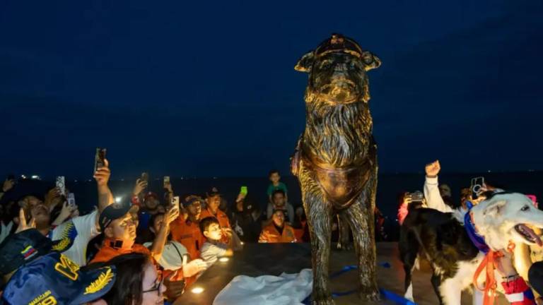 'Tsunami', el perro rescatista que pasó del abandono a tener su propia estatua en Venezuela