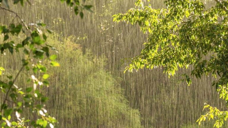 Frío matutino y riesgo de chubascos: el clima en Quito este miércoles 12 de agosto