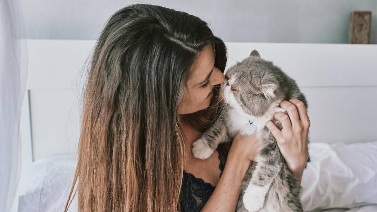 Día del Gato este 29 de octubre: por qué se celebra y el motivo de sus tres fechas al año