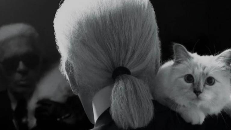 La verdad sobre Choupette: gata de Karl Lagerfeld no ha recibido su millonaria herencia