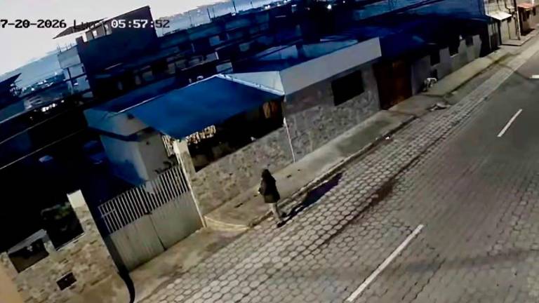 Investigan presunto envenenamiento masivo de animales por disputas personales al sur de Quito