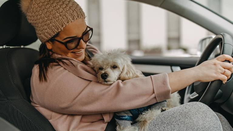 Viajar con tu mascota: claves para transportarla de forma segura en el auto