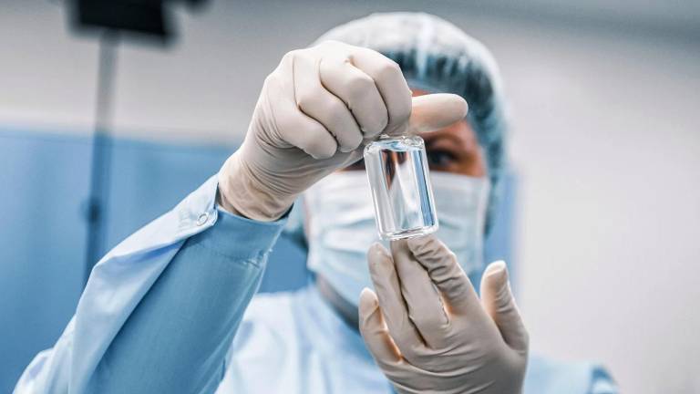 Virus Shamonda en Francia: La OMS ve improbable una propagación masiva