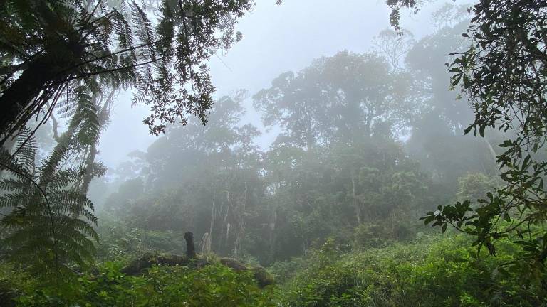 ¿Qué esperar del clima este fin de semana? Inamhi pronostica lluvias en la Sierra y la Amazonía