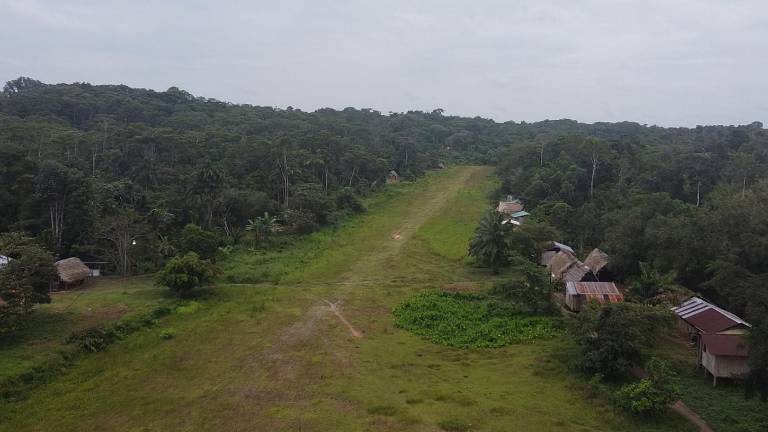 Fauna silvestre, el nuevo botín del crimen organizado en Ecuador