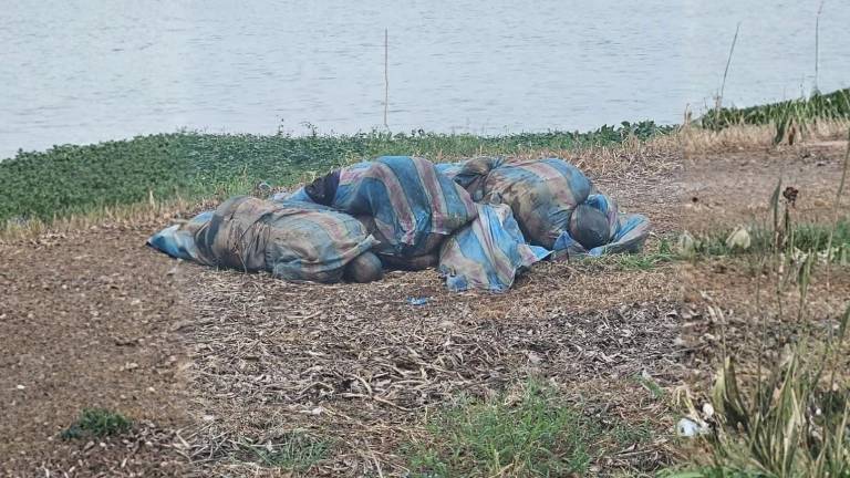 Hallan cadáveres en sacos en la vía Babahoyo-Jujan: temen que sean los ocho jóvenes desaparecidos