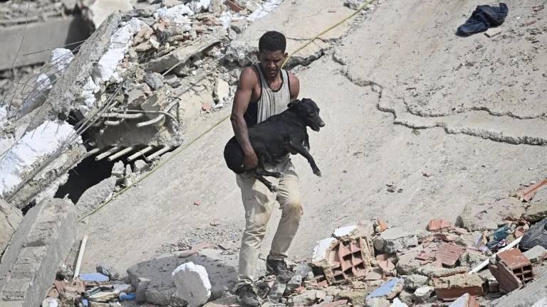 Terremoto en Venezuela: conoce cuáles son los puntos de acopio en Guayaquil y Samborondón para ayudar a los animales afectados
