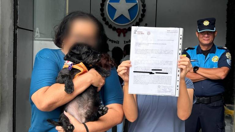 Caso Isla Puná: colectivo presentó denuncia por maltrato animal ante autoridades municipales