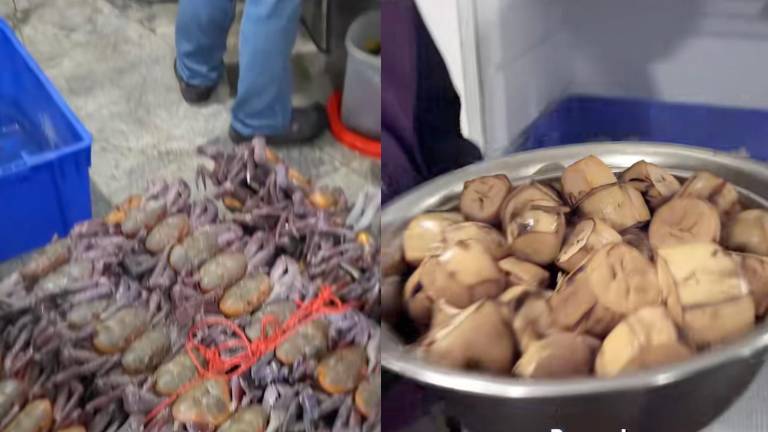 Clausuran cangrejal en Guayaquil tras denuncias de intoxicación
