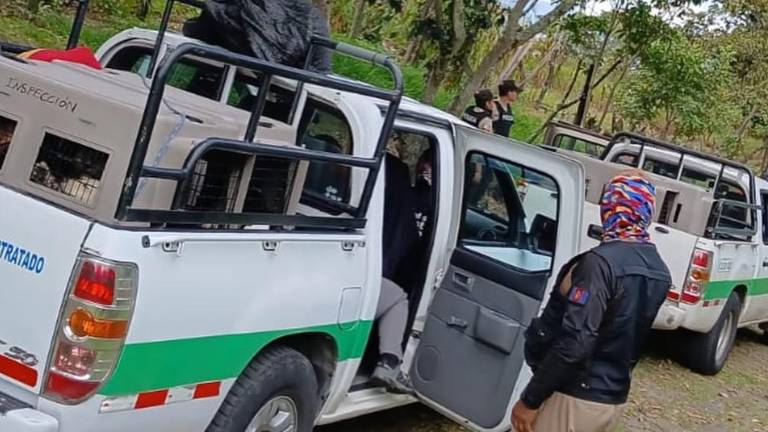 Quito: rescatan a cinco perros que permanecían en condiciones de vulnerabilidad