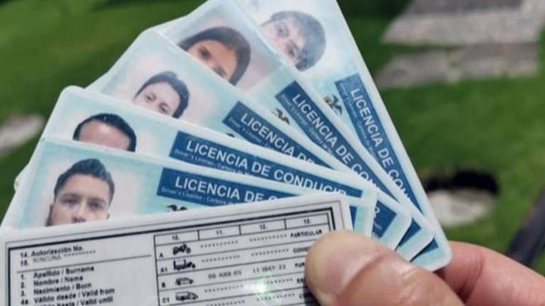 Conductores sin infracciones recibirán un 50% de descuento en la renovación de la licencia